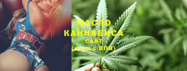 хмурый Арсеньев