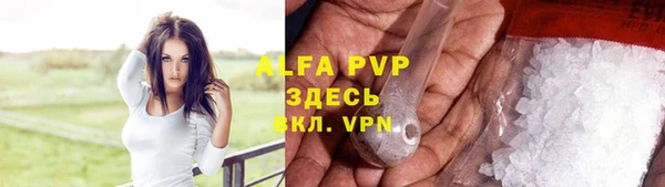 хмурый Арсеньев