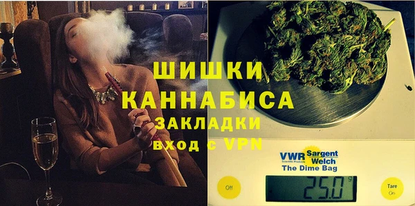 хмурый Арсеньев