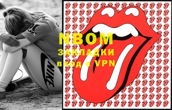 шишки Абаза