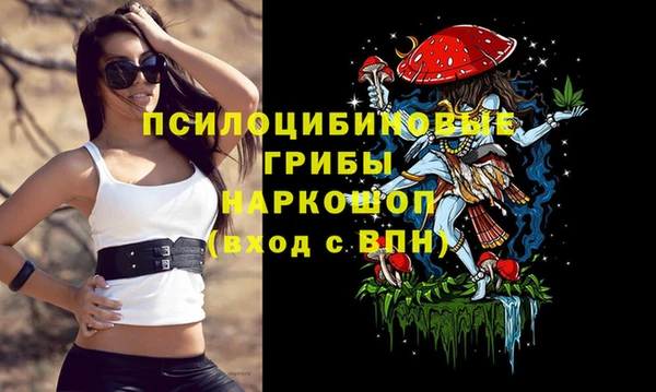 дживик Армянск