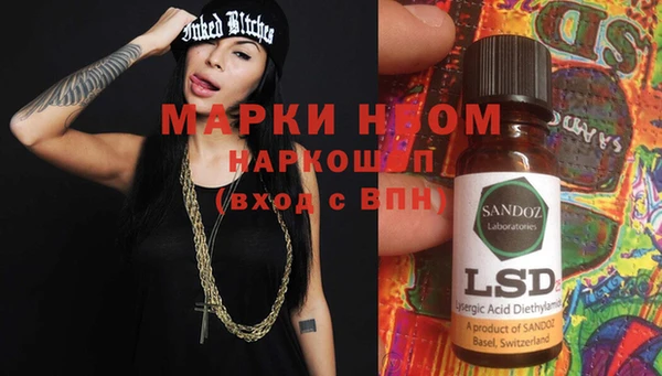 шишки Абаза