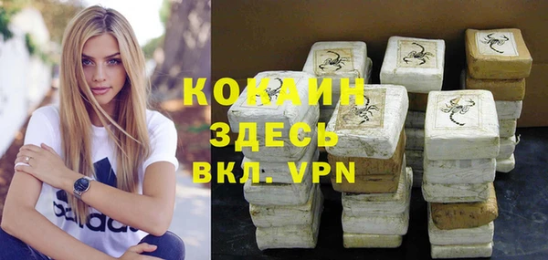 шишки Абаза