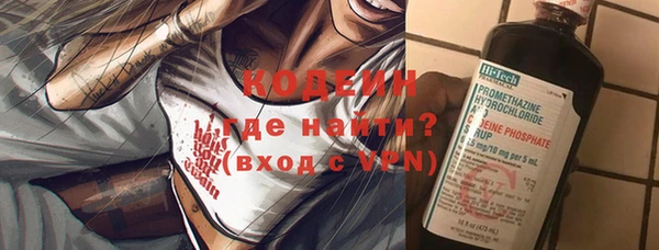 шишки Абаза