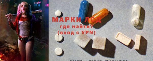 хмурый Арсеньев