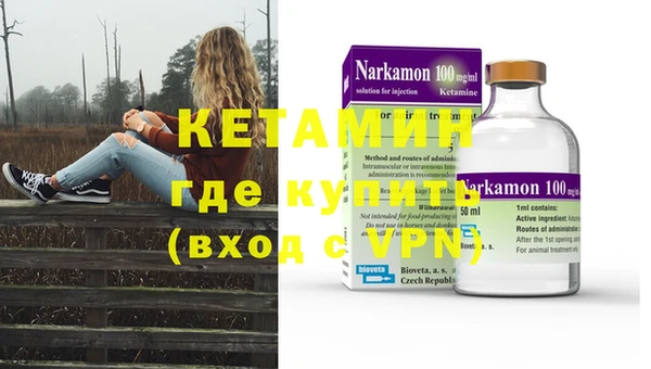 шишки Абаза